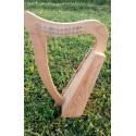 12 STRING CELTIC  HARP